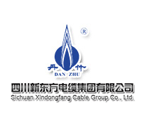 四川新東方[電工機械合作單位]